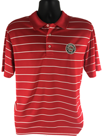 ACC Scoring Stripe Polo Shirt