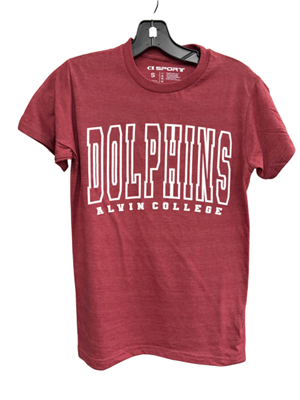 Dolphins Big Letters Tee